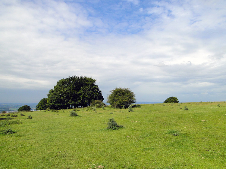 The wide open expanse of Haresfield Beacon