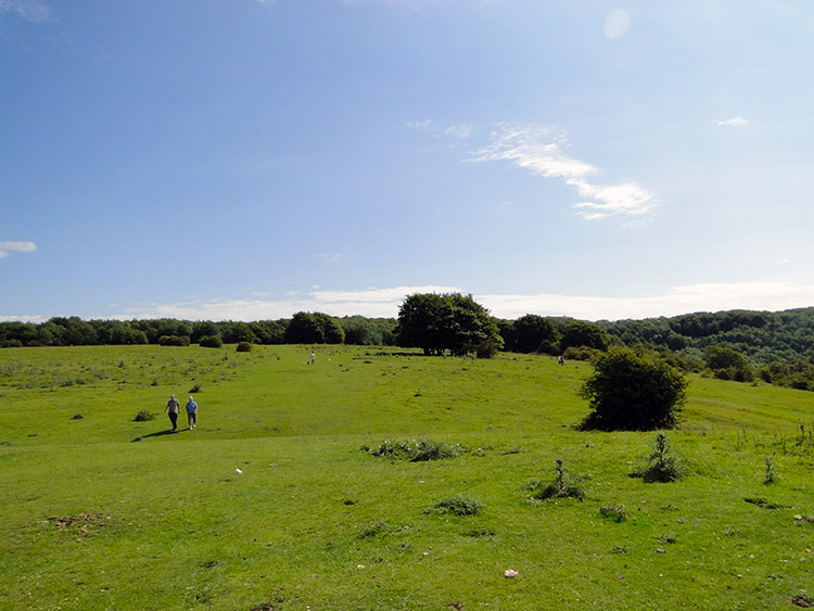 Walkers enjoying their day on Haresfield Beacon