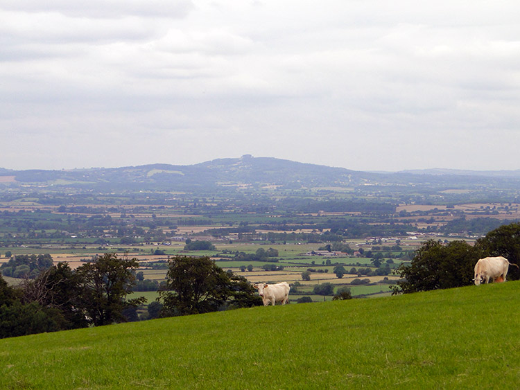 Looking south west from Westrip to Stinchcombe Hill