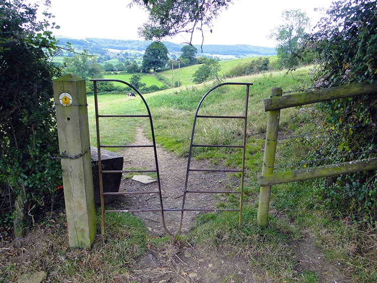Unusual field access near Westrip
