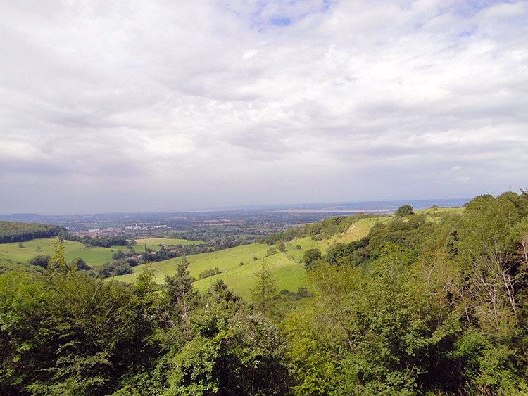 Looking out west over the tree tops in Standish Wood