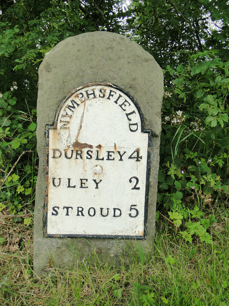 Decay and Fungi in Coaley Wood