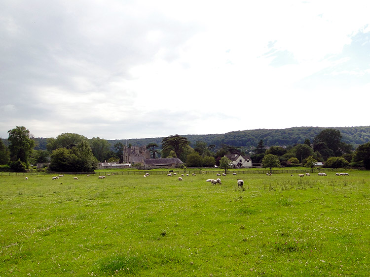 Gloucestershire countryside at Home Farm near Dursley