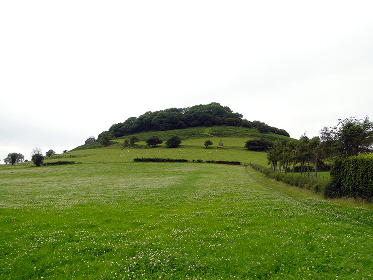 Climb to Cam Long Down from near Hodgecombe Farm