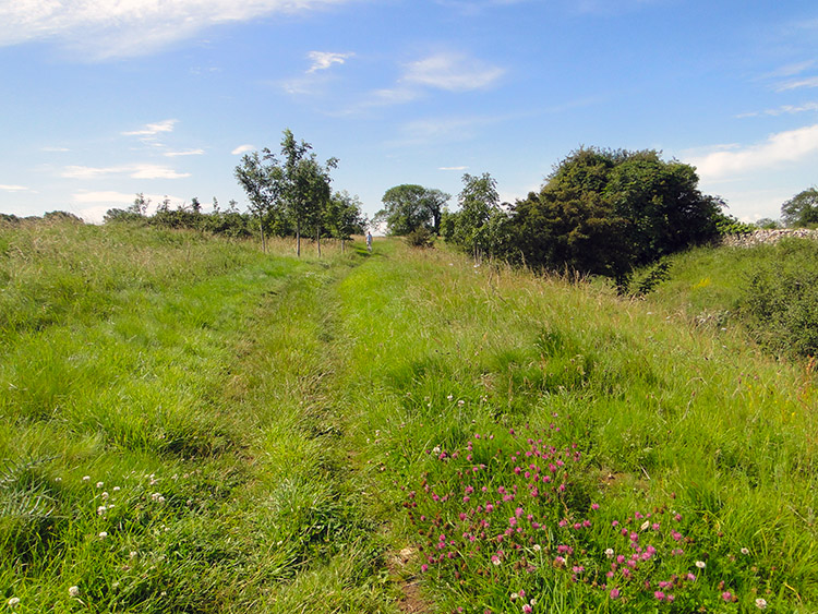 Walking from Hanging Hill to Lansdown Hill