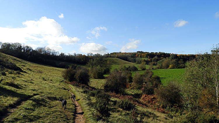 Gorgeous Cotswolds countryside