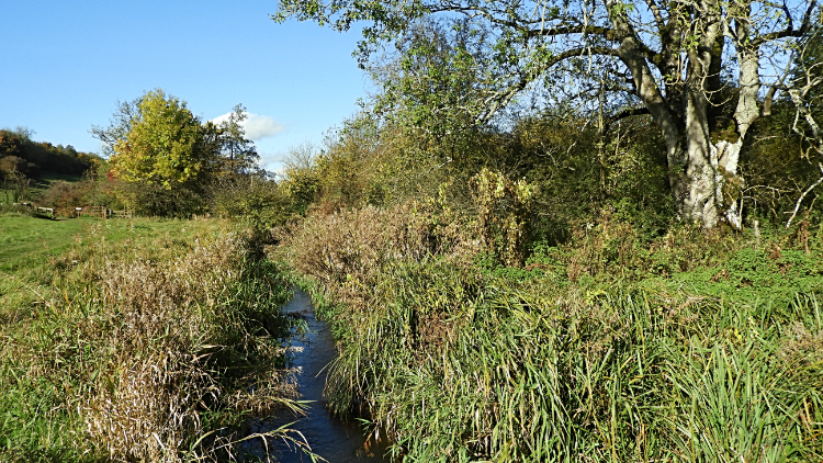 A trickling River Windrush