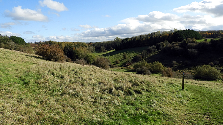 Naunton Downs