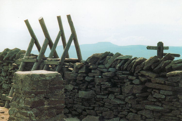 Whernside Summit