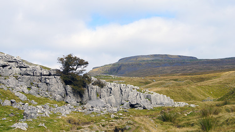 View to Ingleborough from Crina Bottom