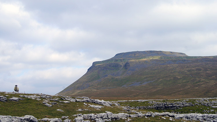 Classic view of Ingleborough