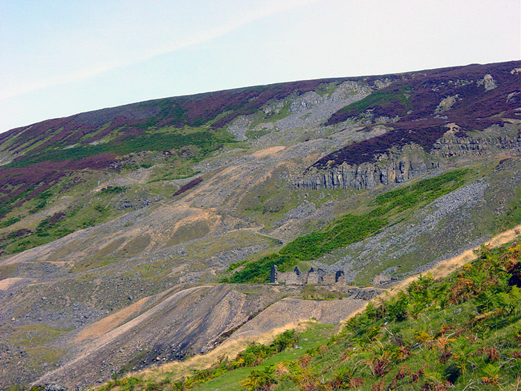 Scarred ground on the east bank of Gunnerside Gill