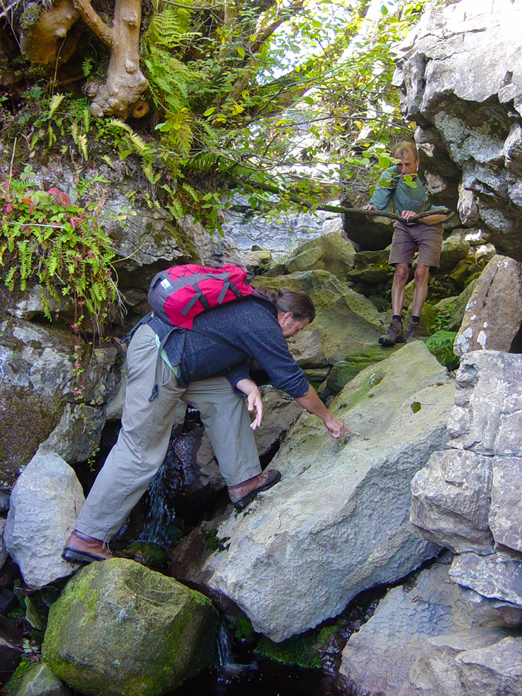 Climbing Botcher Gill