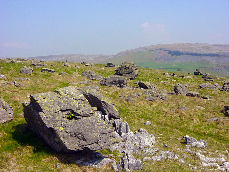 Rock strewn landscape