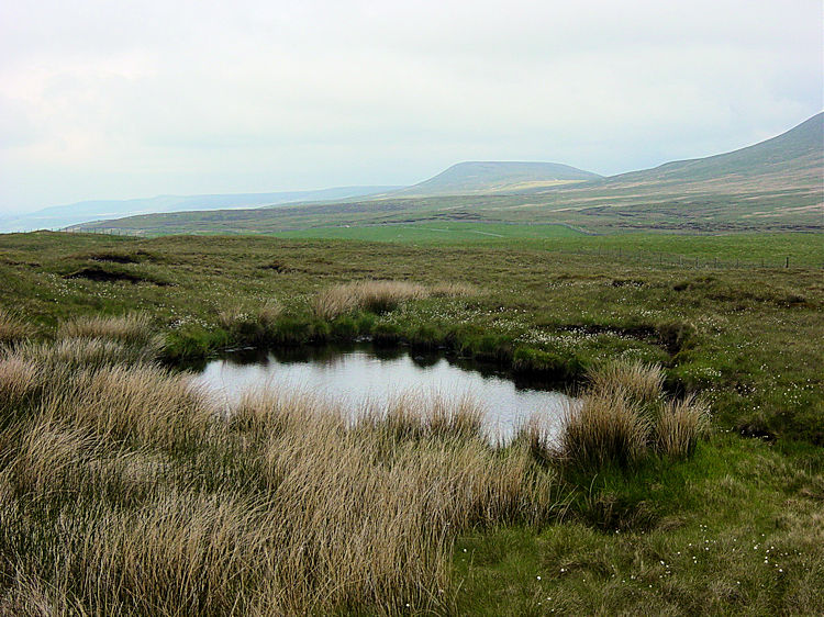 View from Great Hunter Sleets to Little Whernside