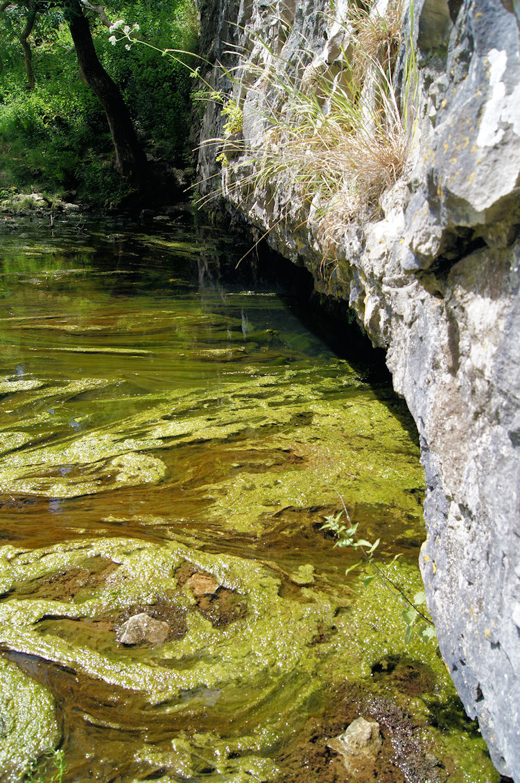 Source of the River Aire