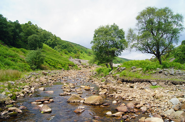 Gunnerside Beck