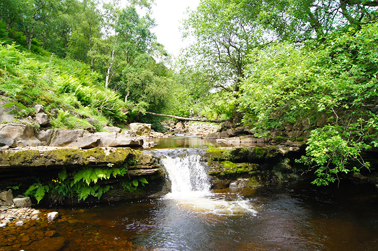 Secluded waterfall in Gunnerside Beck