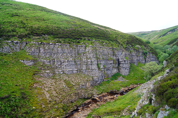 Eweleap Scar