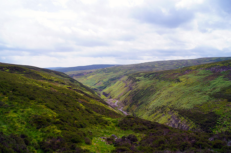 Looking across the gill to Gunnerside Pasture