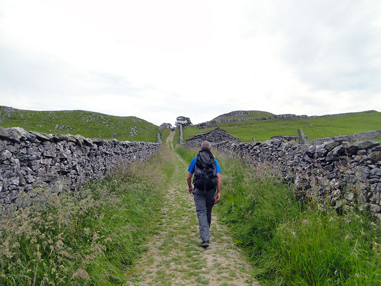 On the path to Catrigg Force