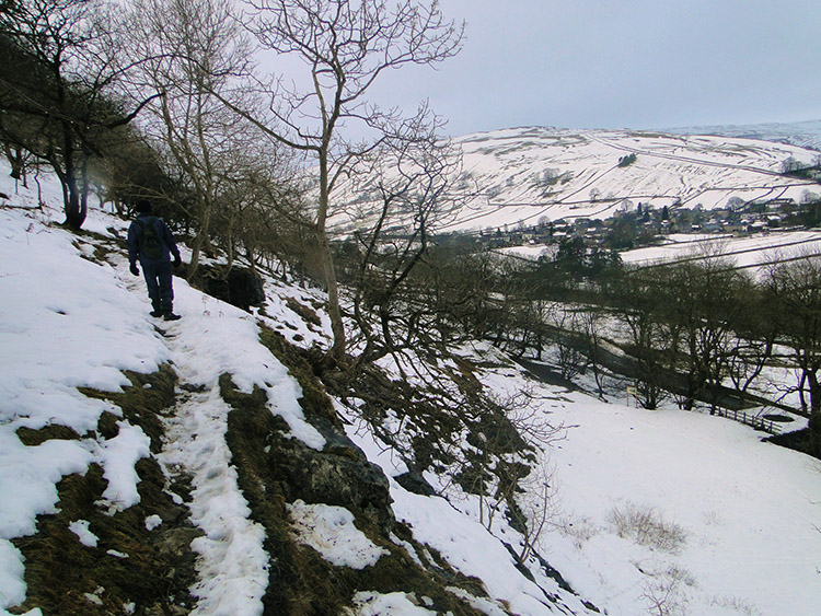 Walking through Knipe Wood