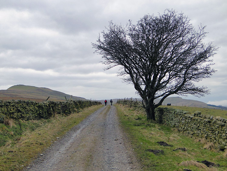 Reaching the highest point of the walk near Wether Fell