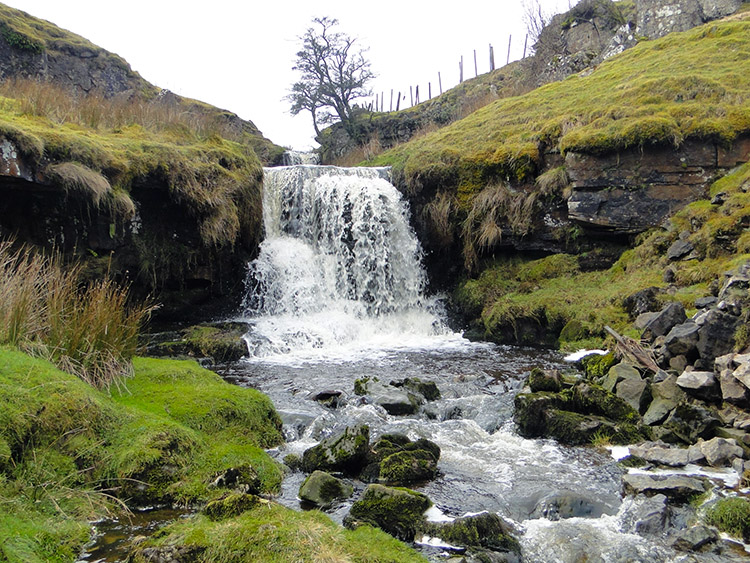 Horton Gill Force