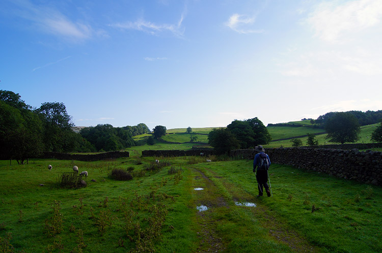 Walking from Leck towards Springs Wood