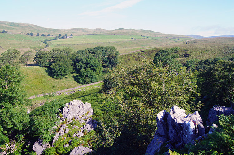 Limestone outcrops on Leck Fell