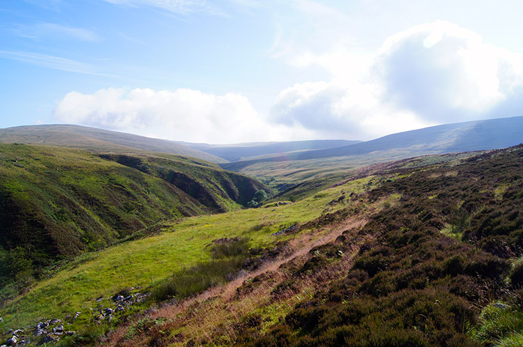 Looking towards Ease Gill and Crag Hill