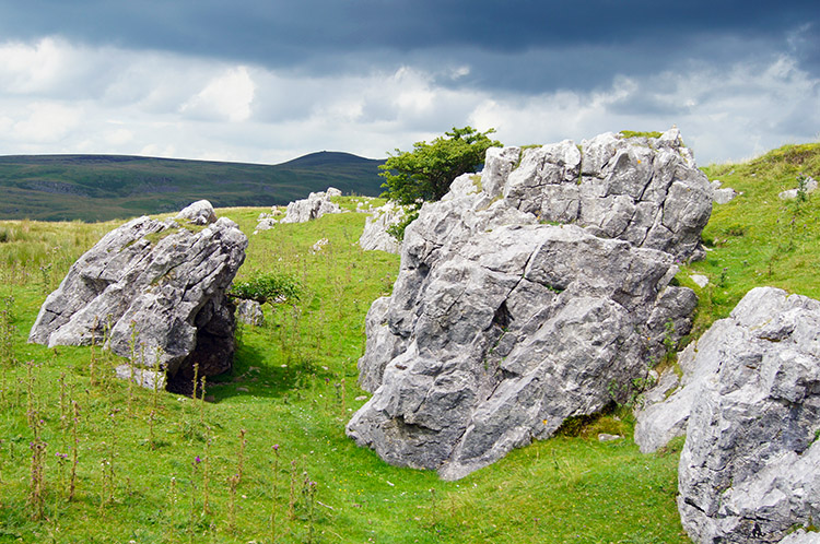 Limestone near Over Leck