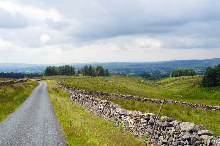 The road home