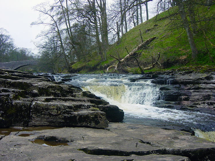 Stainforth Force