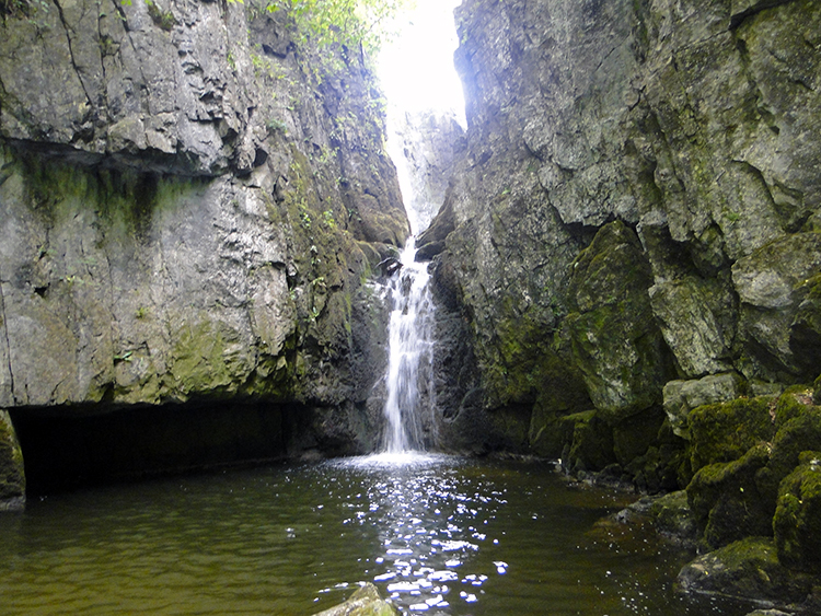 Catrigg Force