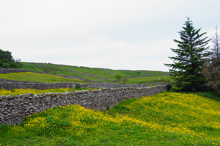 Meadow and Dry Stone walls neat Thornton Rust
