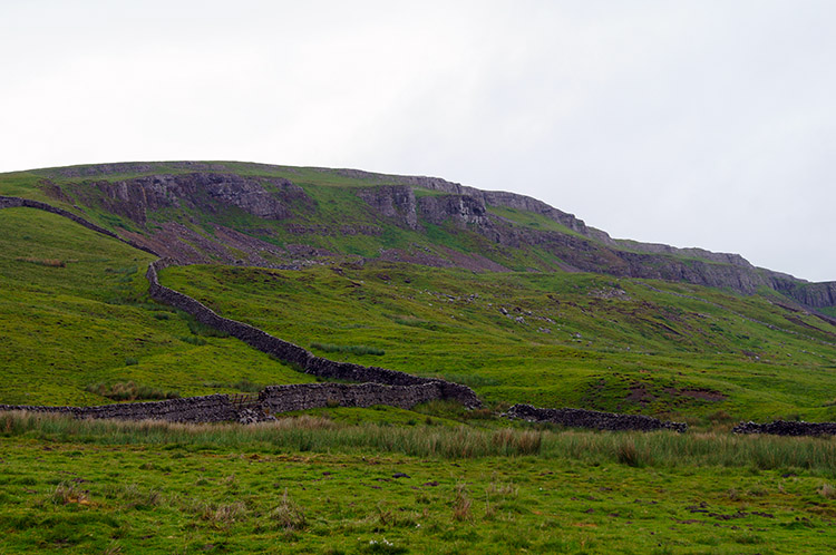 Ellerkin Scar