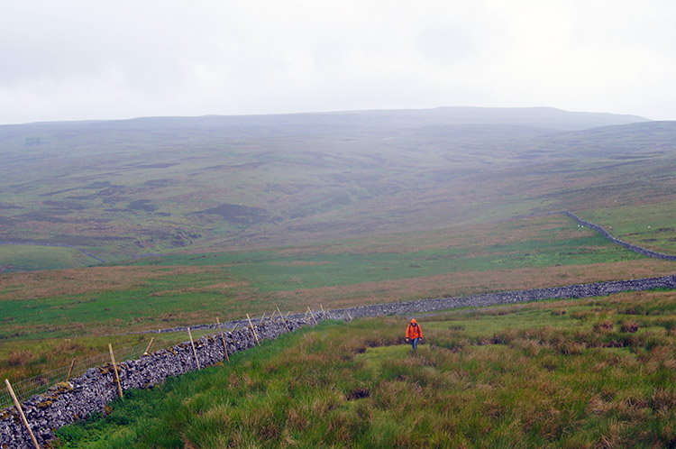 Climbing over Askrigg Greets to Ellerkin Scar