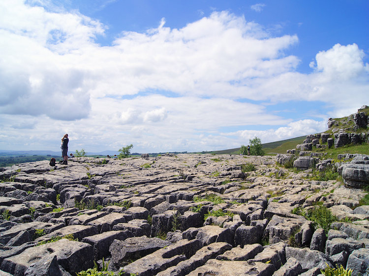 Limestone pavement caps Malham Cove