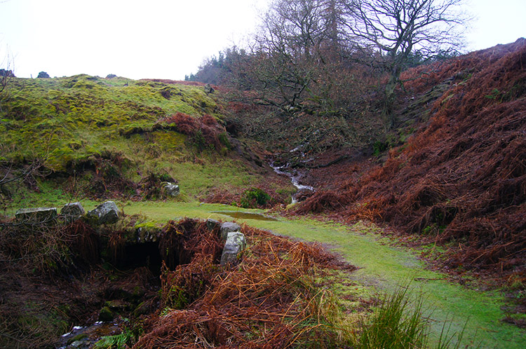 Switchback on the path