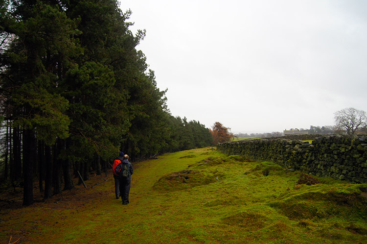 Near Moor Cote