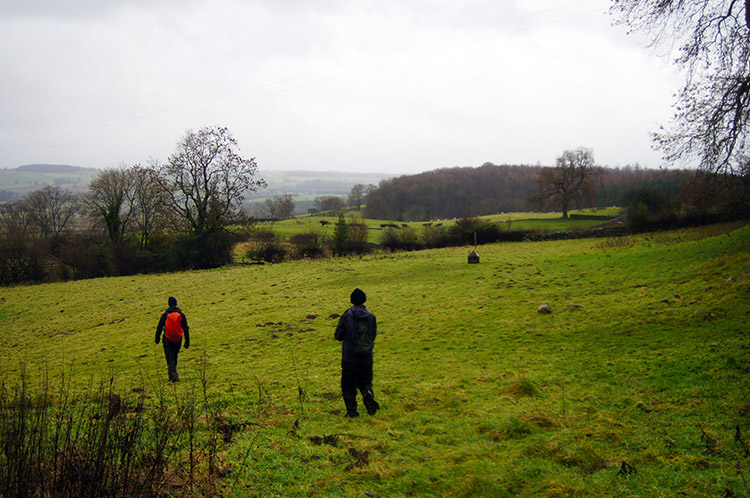 Crossing fields south of High Jervaulx