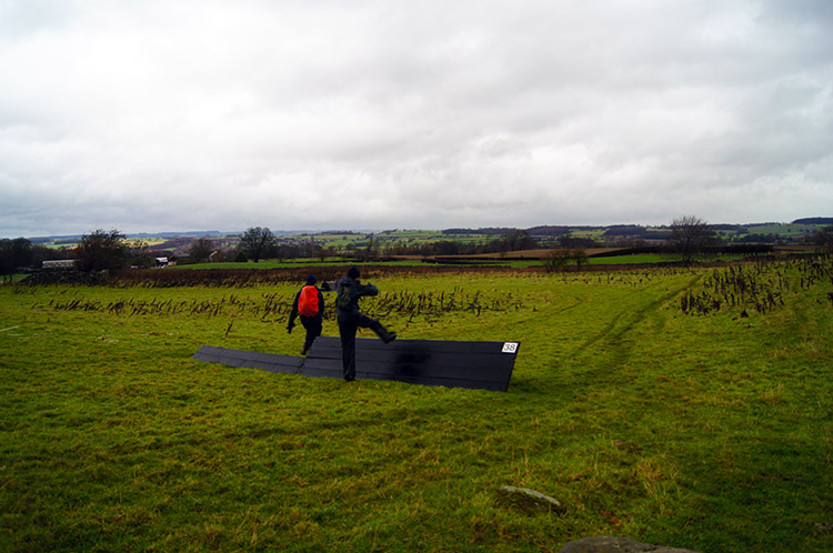 Cross Country Steeplechasers