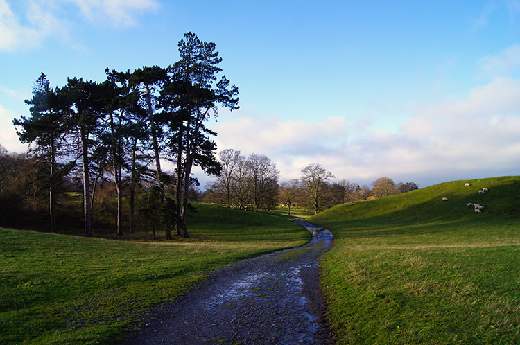 The road through Jervaulx Park