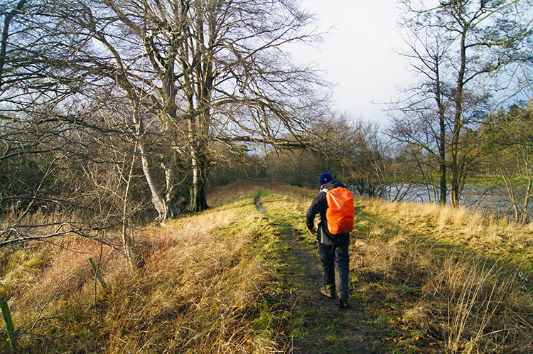 Raised riverside path near Fish Pond Plantation