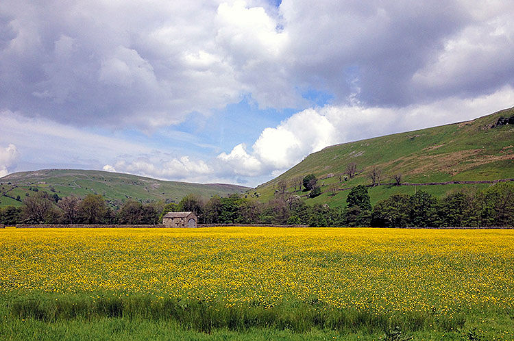 The breathtaking colour of Swaledale in springtime