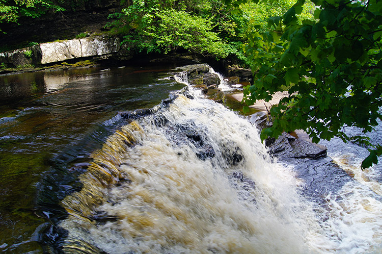 Catrake Force