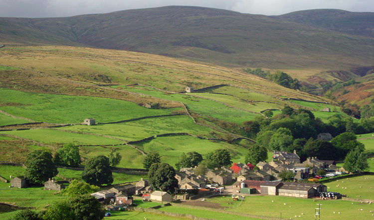 Thwaite in Swaledale