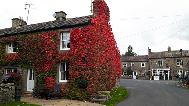 Autumn colour in Thwaite