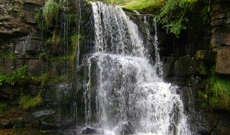 East Gill Force